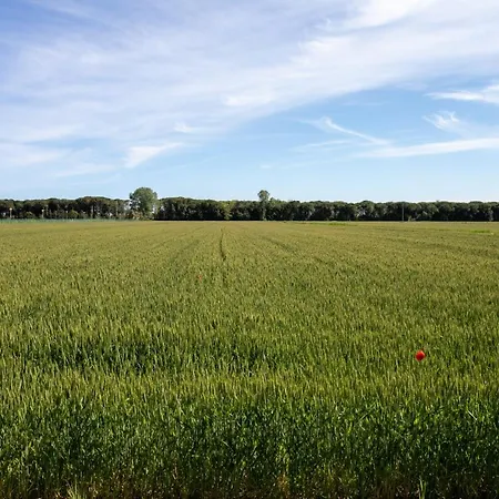 Pineta Lantställe *
